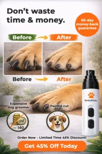 Luxury waterfront apartment building with sea view balconies overlooking Tangier harbor